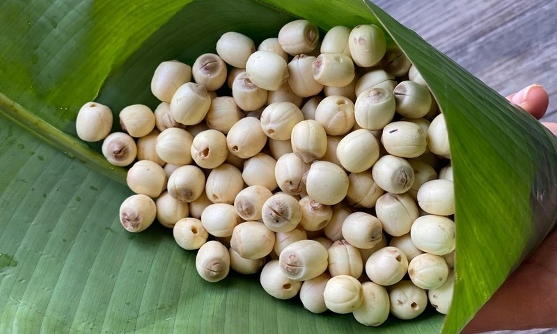 5 lợi ích sức khỏe bất ngờ từ hạt sen 5 lợi ích sức khỏe bất ngờ từ hạt sen