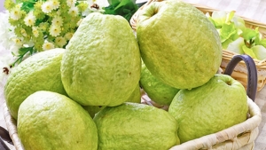 Ăn quả ổi tốt nhưng những người này không nên ăn