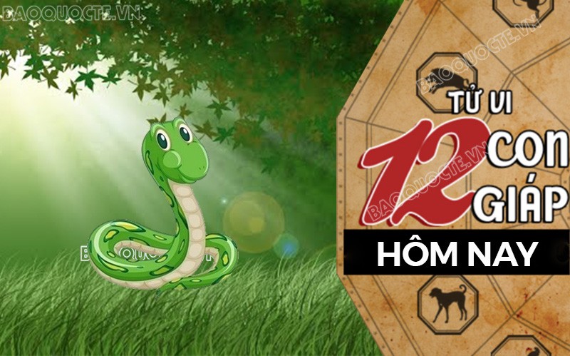 Tử vi hôm nay, xem tử vi 12 con giáp hôm nay ngày 27/8/2025: Tuổi Tỵ hoàn thành công việc Tử vi hôm nay, xem tử vi 12 con giáp hôm nay ngày 27/8/2025: Tuổi Tỵ hoàn thành công việc