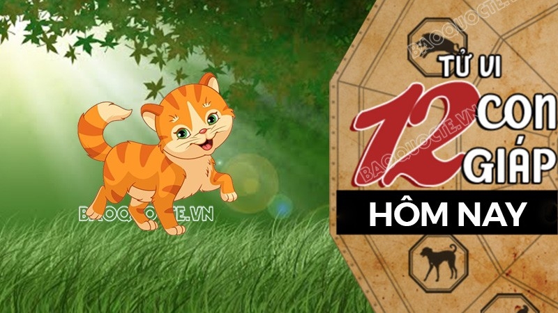 Tử vi hôm nay, xem tử vi 12 con giáp hôm nay ngày 11/8/2026: Tuổi Mão tình cảm bền chặt