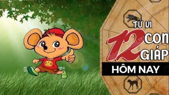 Tử vi hôm nay, xem tử vi 12 con giáp hôm nay ngày 12/8/2026: Tuổi Tý mở rộng kinh doanh