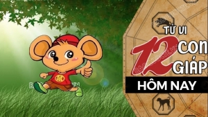 Tử vi hôm nay, xem tử vi 12 con giáp hôm nay ngày 12/8/2026: Tuổi Tý mở rộng kinh doanh