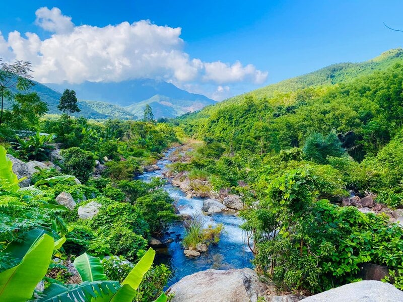 Đà Nẵng quy hoạch khu du lịch sinh thái 164ha ở Hải Vân