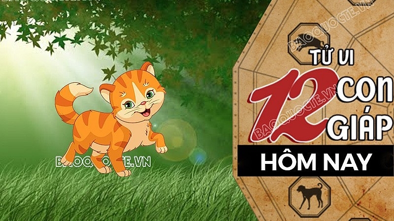 Tử vi hôm nay, xem tử vi 12 con giáp hôm nay ngày 20/8/2026: Tuổi Mão tiền bạc may mắn