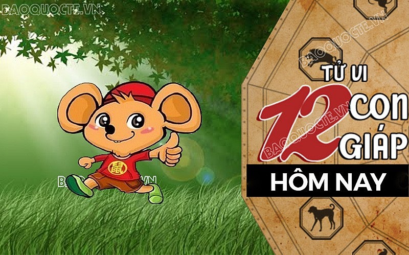 Tử vi hôm nay, xem tử vi 12 con giáp hôm nay ngày 25/8/2026: Tuổi Tý sự nghiệp gặp vận may