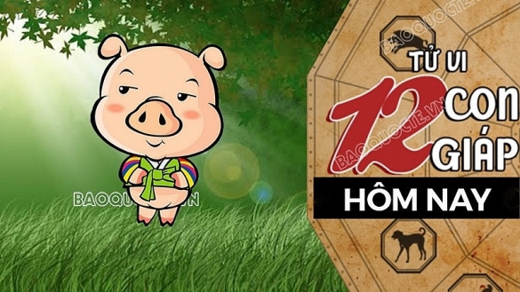 Tử vi hôm nay, xem tử vi 12 con giáp hôm nay ngày 28/8/2026: Tuổi Hợi hoàn thành công việc