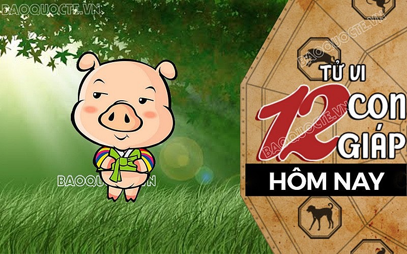 Tử vi hôm nay, xem tử vi 12 con giáp hôm nay ngày 28/8/2026: Tuổi Hợi hoàn thành công việc
