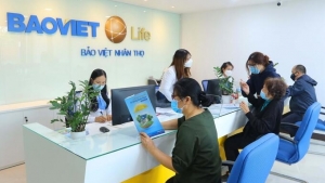 Loạt cổ phiếu bảo hiểm lao dốc sau bão Yagi