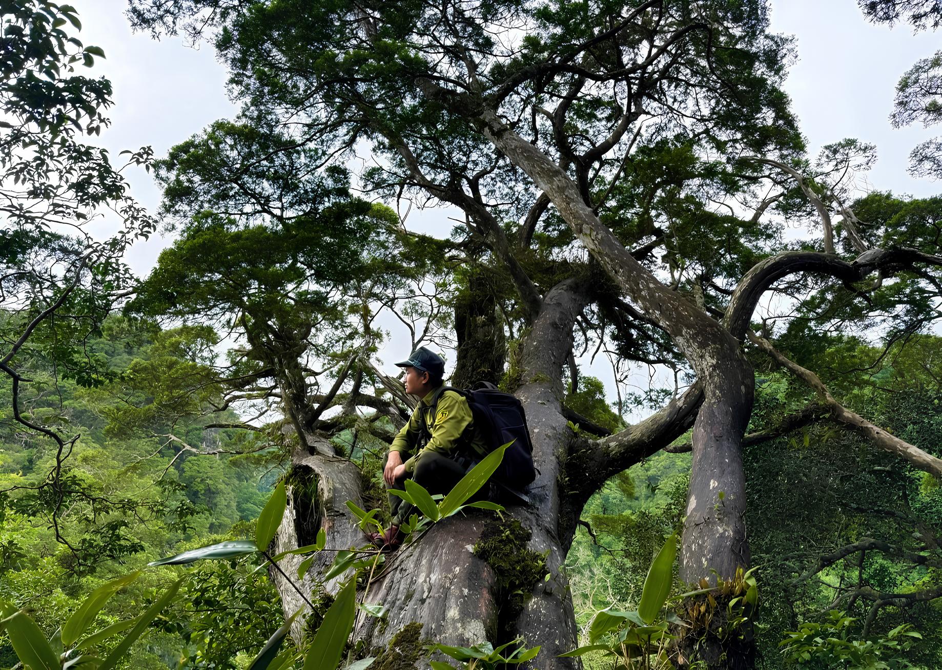 Đề cử Phong Nha - Kẻ Bàng thành Khu dự trữ sinh quyển thế giới Đề cử Phong Nha - Kẻ Bàng thành Khu dự trữ sinh quyển thế giới