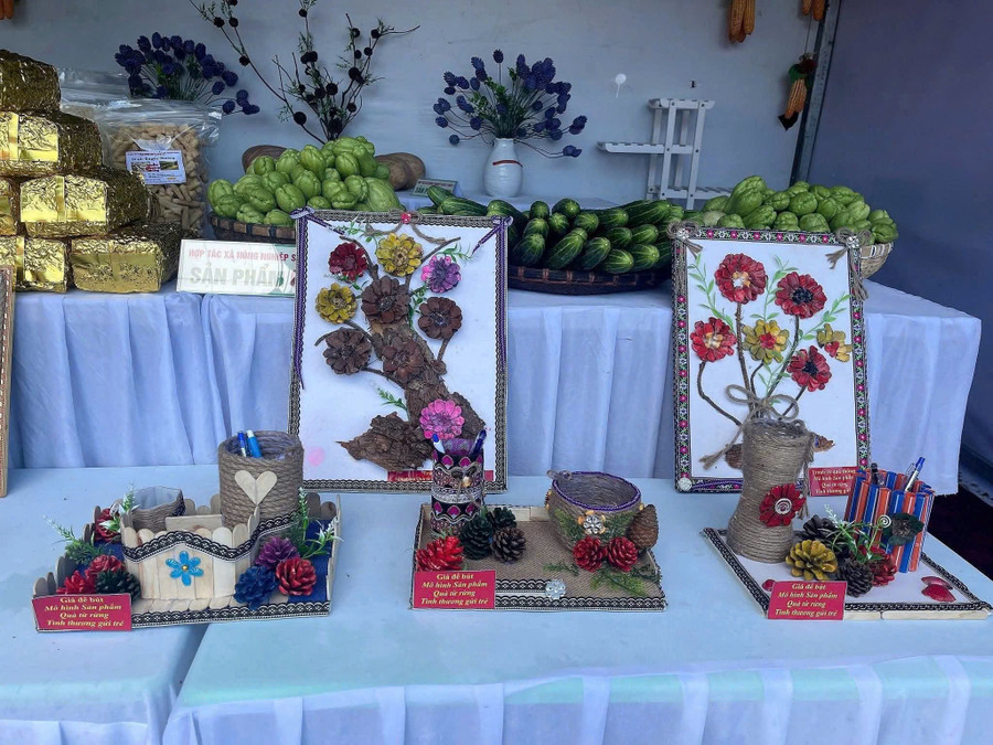 Biến quả thông thành sản phẩm thủ công để gìn giữ văn hoá Biến quả thông thành sản phẩm thủ công để gìn giữ văn hoá