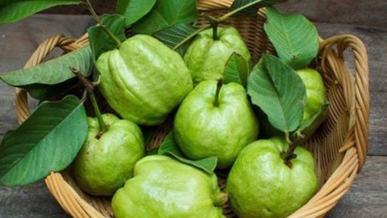 9 lợi ích sức khỏe của quả ổi không thể bỏ qua