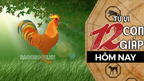 Tử vi hôm nay, xem tử vi 12 con giáp hôm nay ngày 24/9/2025: Tuổi Dậu công việc cần đổi mới