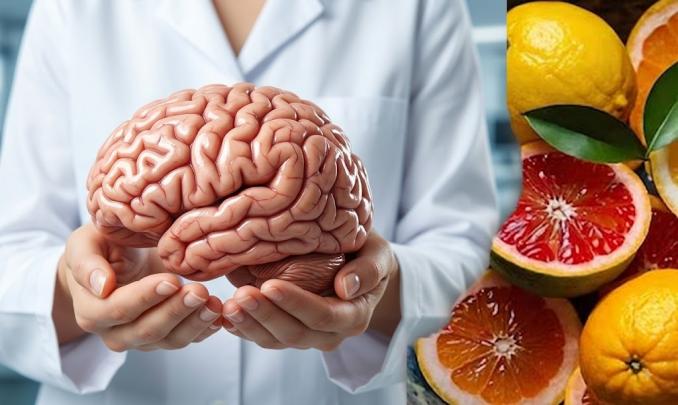 Dinh dưỡng đúng cách bảo vệ não bộ và cải thiện trí nhớ Dinh dưỡng đúng cách bảo vệ não bộ và cải thiện trí nhớ
