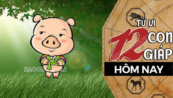 Tử vi hôm nay, xem tử vi 12 con giáp hôm nay ngày 17/9/2026: Tuổi Hợi tiền bạc ổn định