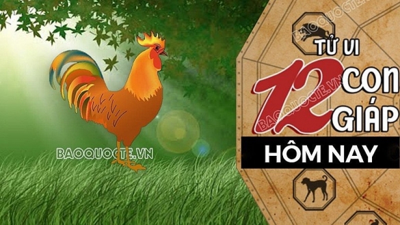 Tử vi hôm nay, xem tử vi 12 con giáp hôm nay ngày 19/9/2026: Tuổi Dậu công việc sáng suốt