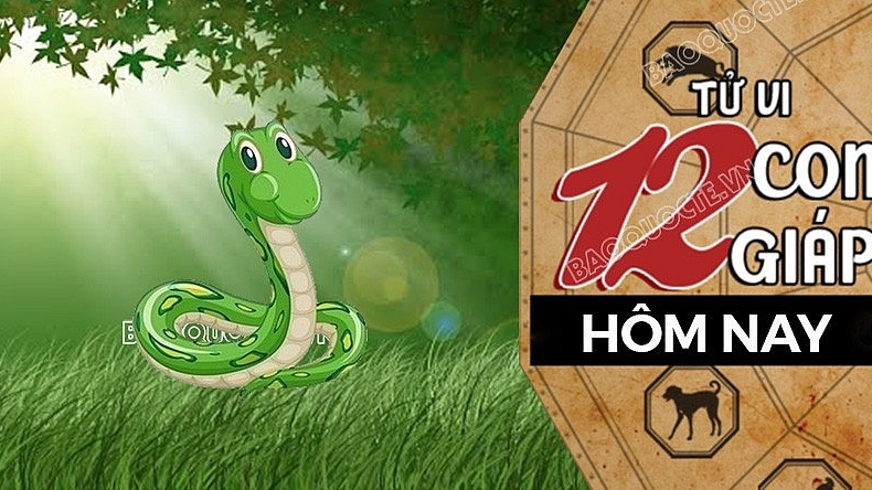Tử vi hôm nay, xem tử vi 12 con giáp hôm nay ngày 21/9/2026: Tuổi Tỵ tài lộc dồi dào