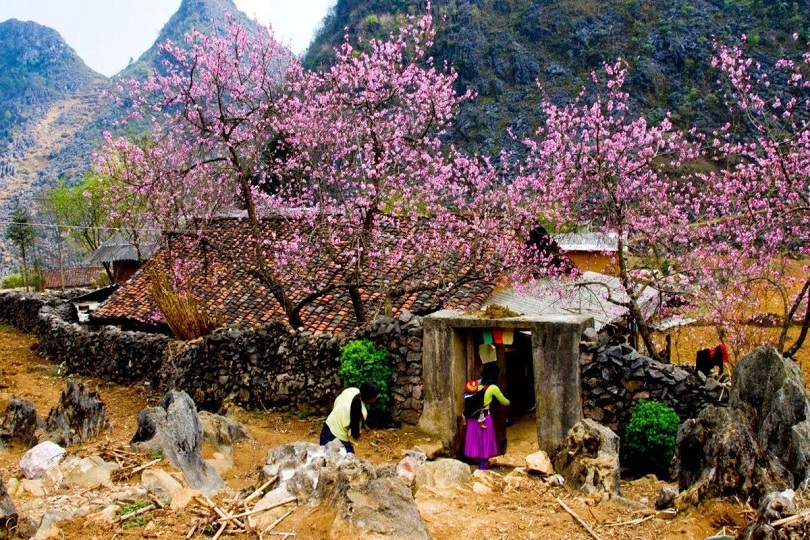 Thăm "Nhà của Pao" và khám phá nét văn hóa độc đáo Thăm "Nhà của Pao" và khám phá nét văn hóa độc đáo