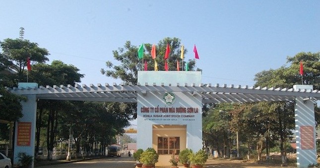 C&ocirc;ng ty kiểm to&aacute;n bị đ&igrave;nh chỉ hoạt động v&igrave; l&agrave;m giả t&agrave;i liệu ảnh 4