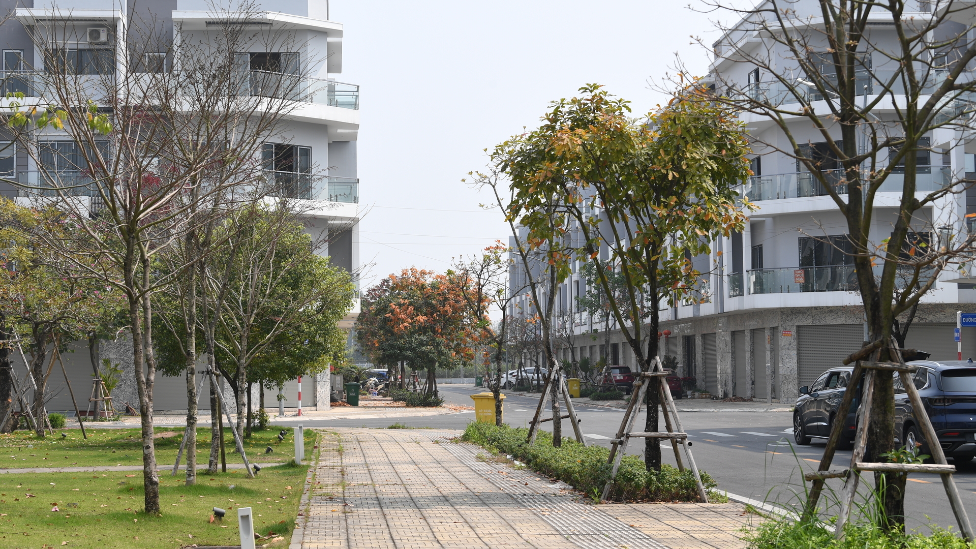 Đấu giá bỏ cọc tràn lan: Thiếu chế tài hay trò đùa của thị trường Đấu giá bỏ cọc tràn lan: Thiếu chế tài hay trò đùa của thị trường