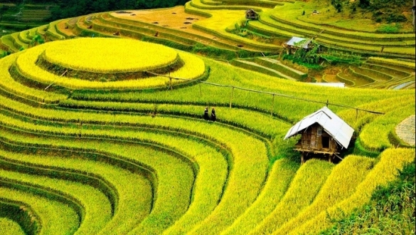 Khám phá 2 danh thắng của Sa Pa được công nhận kỷ lục Việt Nam