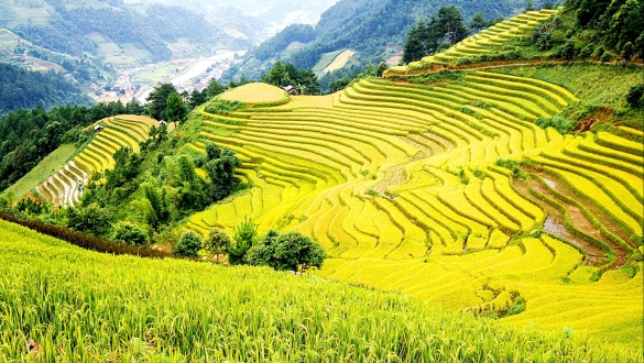 Du lịch Tây Bắc sau bão: Đừng bỏ lỡ một mùa thu