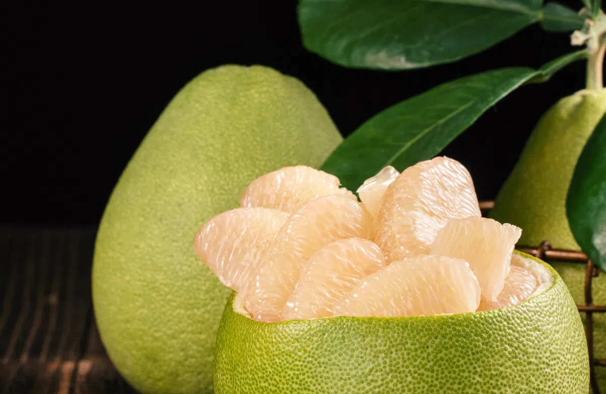 Bưởi – Thực phẩm vàng cho sức khỏe và sắc đẹp Bưởi – Thực phẩm vàng cho sức khỏe và sắc đẹp