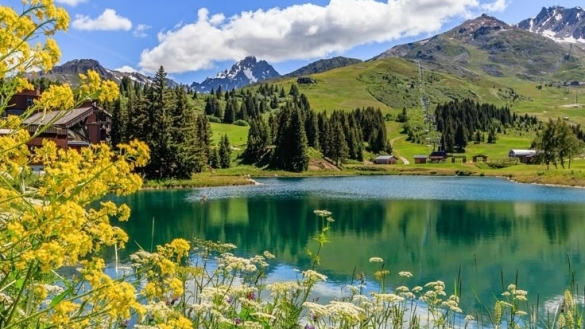 Tử vi vòng quay công nghệ ngày 12/10/2025: Tuổi Tuất công việc tiến triển, tuổi Tý dễ vướng thị phi