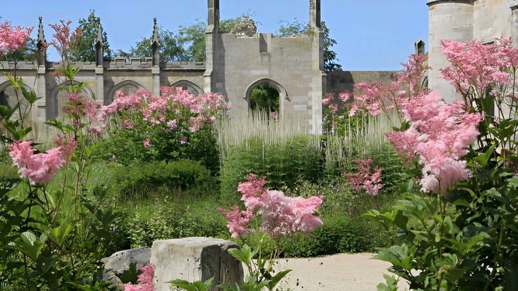 Tử vi vòng quay công nghệ ngày 12/10/2025: Tuổi Tuất công việc tiến triển, tuổi Tý dễ vướng thị phi