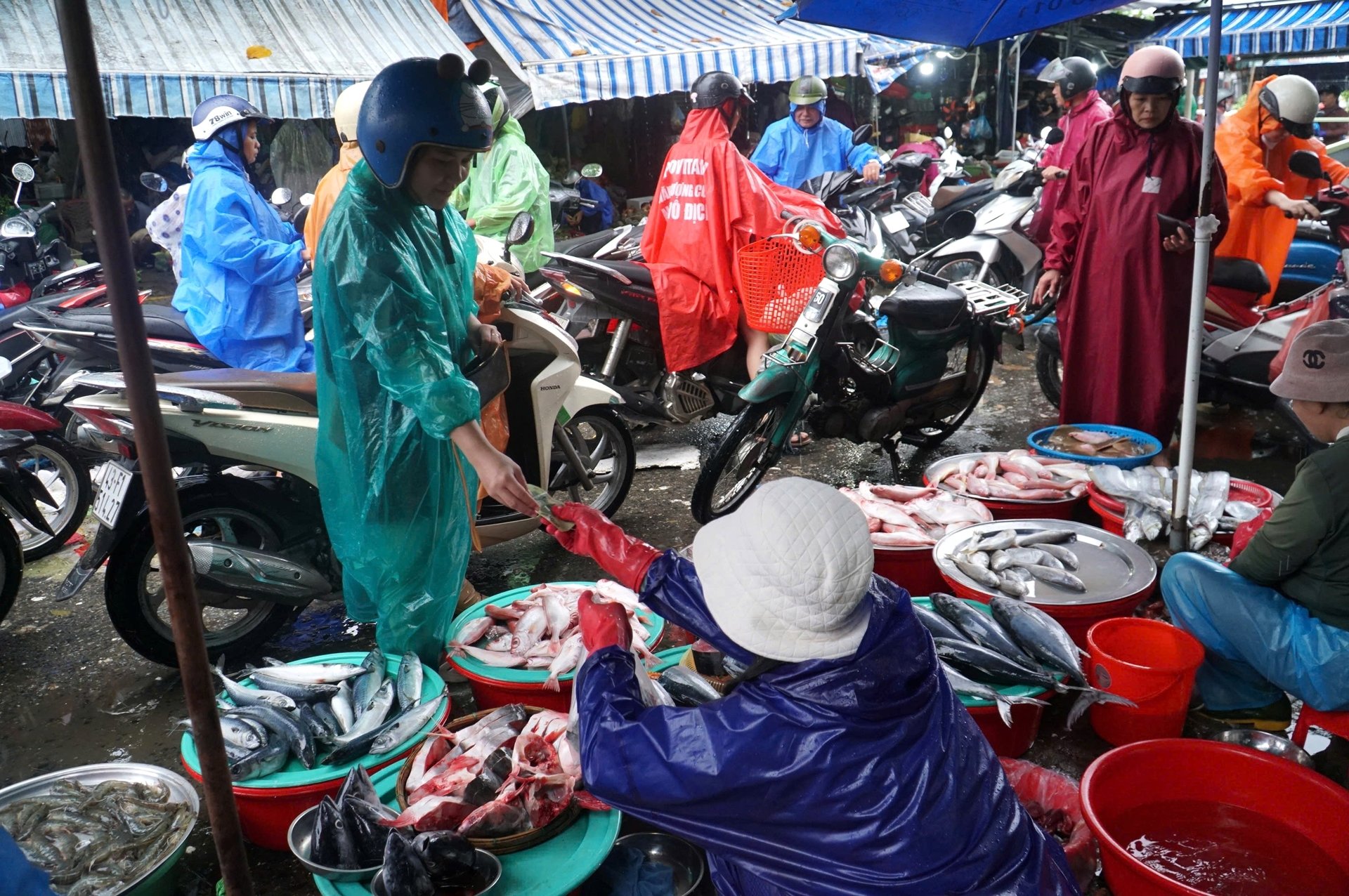 Dân Đà Nẵng đổ xô mua thực phẩm "tích trữ 3 ngày" chống bão Dân Đà Nẵng đổ xô mua thực phẩm "tích trữ 3 ngày" chống bão