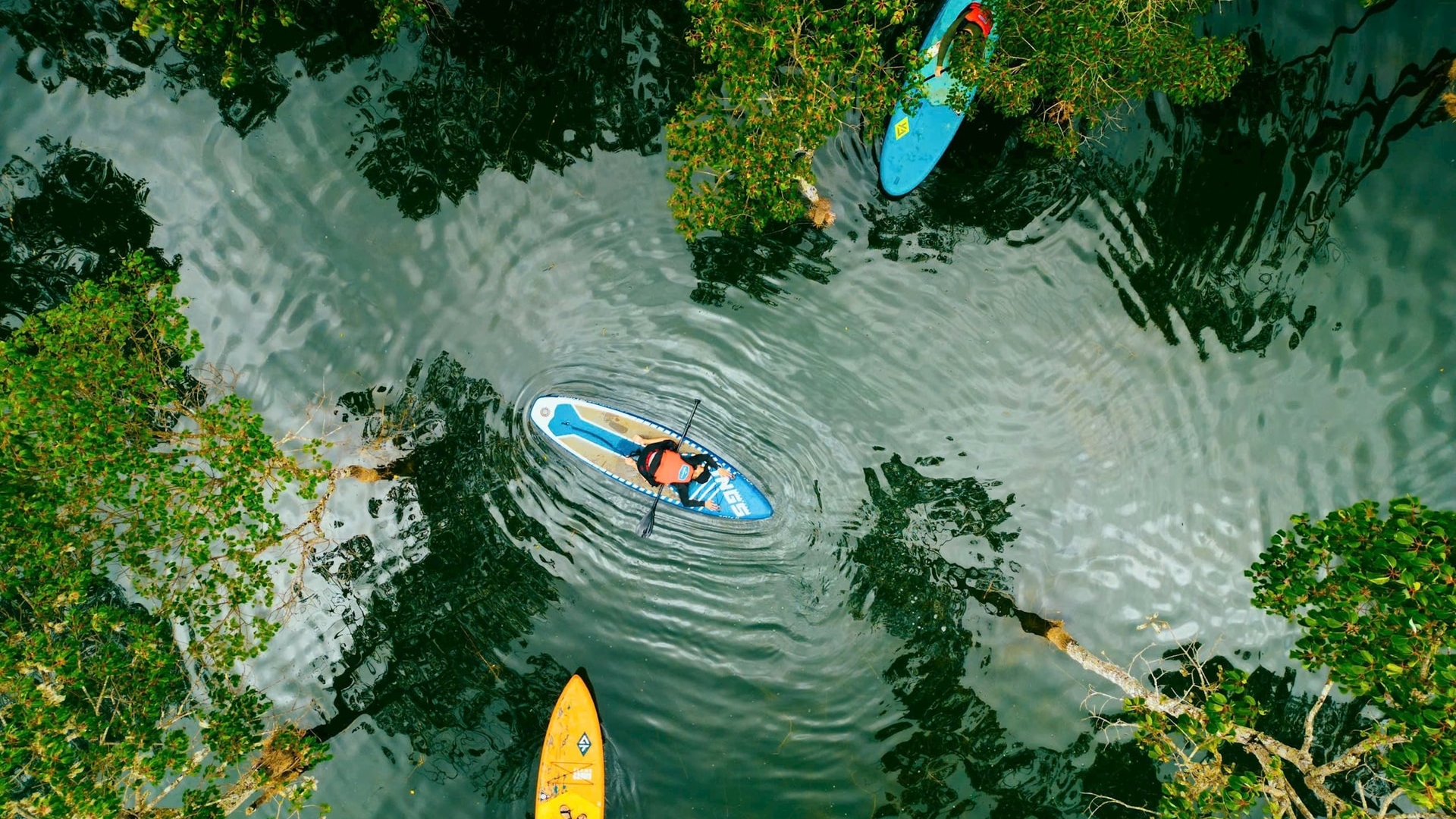 Liên kết vùng - chìa khóa mở rộng không gian du...