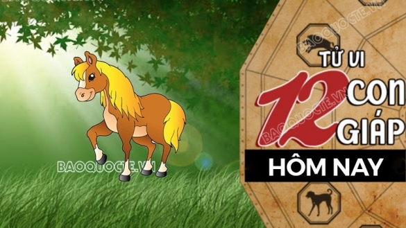 Tử vi hôm nay, xem tử vi 12 con giáp hôm nay ngày 25/10/2025: Tuổi Ngọ tài lộc khá tốt