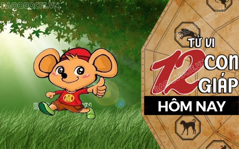 Tử vi hôm nay, xem tử vi 12 con giáp hôm nay ngày 29/10/2025: Tuổi Tý mở rộng đầu tư