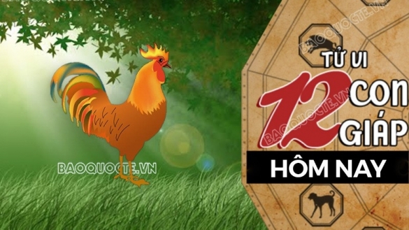 Tử vi hôm nay, xem tử vi 12 con giáp hôm nay ngày 30/10/2025: Tuổi Dậu công việc cần kiên nhẫn