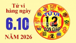 Tử vi hôm nay, xem tử vi 12 con giáp hôm nay ngày 6/10/2026: Tuổi Tỵ công việc thành công