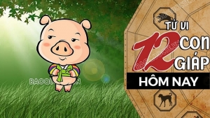 Tử vi hôm nay, xem tử vi 12 con giáp hôm nay ngày 11/10/2026: Tuổi Hợi tinh thần minh mẫn
