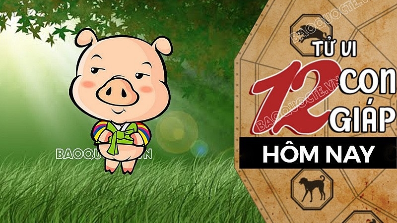 Tử vi hôm nay, xem tử vi 12 con giáp hôm nay ngày 11/10/2026: Tuổi Hợi tinh thần minh mẫn