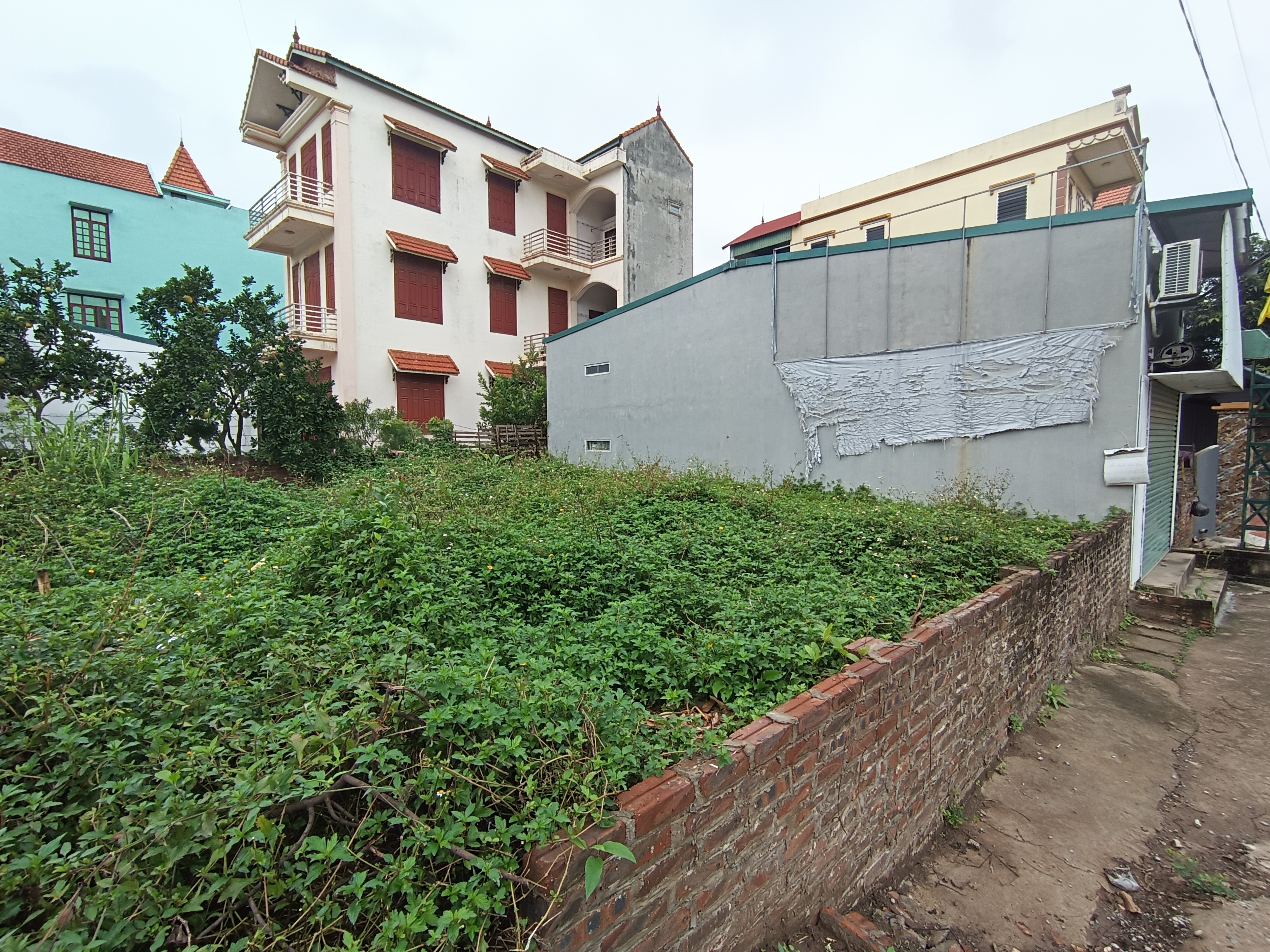 Giá đất tăng mạnh sau thông tin khởi công thành phố thông minh 4,2 tỉ USD