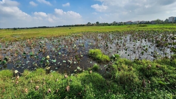 Dự án 2.500 tỷ đồng của Nguyễn Hoàng Group tại Thanh Hóa bị chậm tiến độ