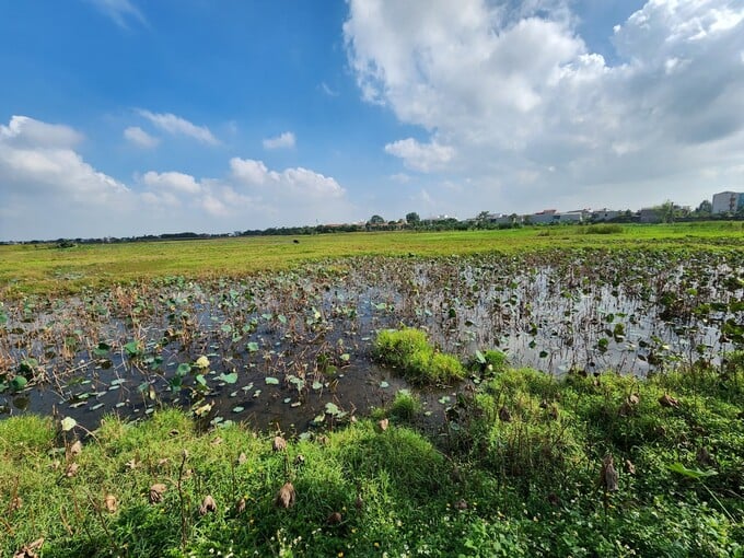 Dự án 2.500 tỷ đồng của Nguyễn Hoàng Group tại Thanh Hóa bị chậm tiến độ Dự án 2.500 tỷ đồng của Nguyễn Hoàng Group tại Thanh Hóa bị chậm tiến độ