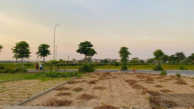 Giá đất nền Đông Anh trước lực đẩy của thành phố thông minh