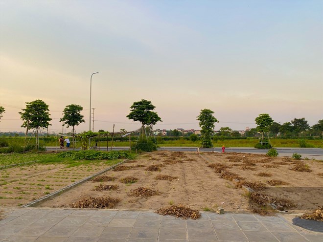 Giá đất nền Đông Anh trước lực đẩy của thành phố thông minh