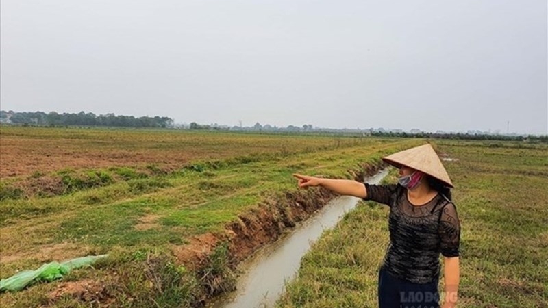 Bảng giá đất nông nghiệp 5 tỉnh Tây Nguyên mới nhất