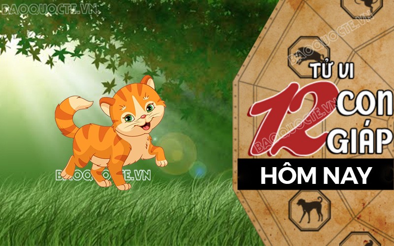 Tử vi hôm nay, xem tử vi 12 con giáp hôm nay ngày 10/11/2025: Tuổi Mão gia đình gắn kết Tử vi hôm nay, xem tử vi 12 con giáp hôm nay ngày 10/11/2025: Tuổi Mão gia đình gắn kết