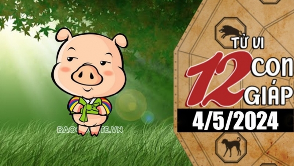 Tử vi hôm nay, xem tử vi 12 con giáp hôm nay ngày 11/11/2025: Tuổi Hợi tài chính ổn định