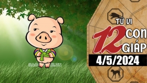 Tử vi hôm nay, xem tử vi 12 con giáp hôm nay ngày 11/11/2025: Tuổi Hợi tài chính ổn định