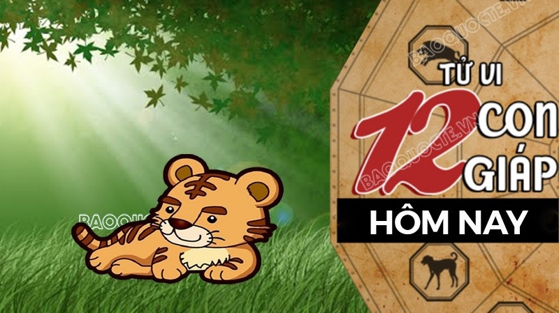 Tử vi hôm nay, xem tử vi 12 con giáp hôm nay ngày 12/11/2025: Tuổi Dần công việc hiệu quả cao
