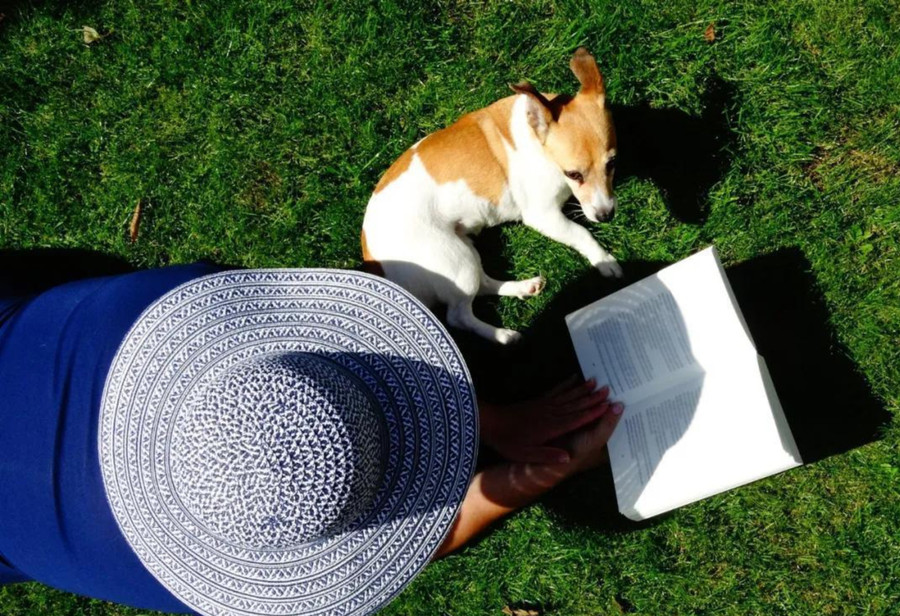 Giảm trầm cảm nhờ tắm nắng