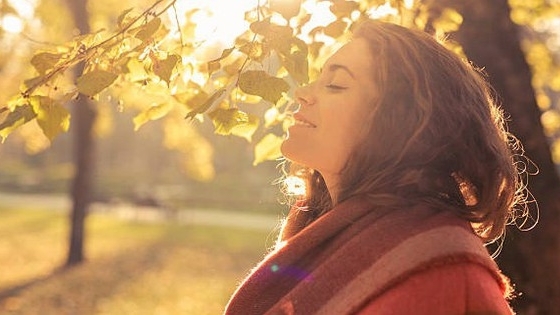 4 loại thực phẩm giàu vitamin D nên bổ sung vào mùa đông