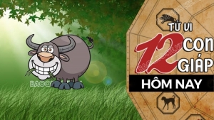 Tử vi hôm nay, xem tử vi 12 con giáp hôm nay ngày 16/11/2025: Tuổi Sửu làm giàu thuận lợi