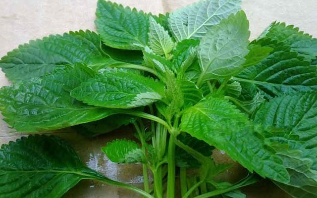 6 loại gia vị trong bếp giúp phòng ngừa cảm cúm khi giao mùa 6 loại gia vị trong bếp giúp phòng ngừa cảm cúm khi giao mùa